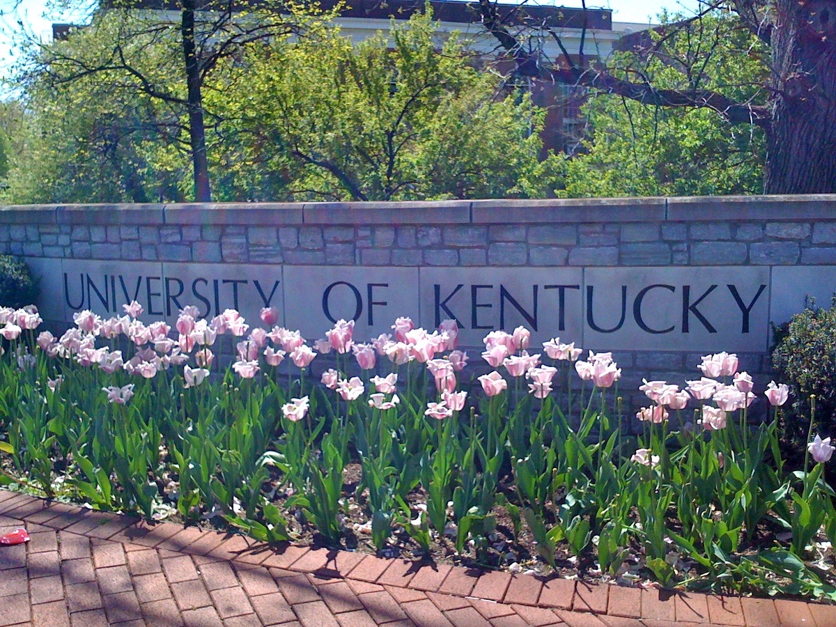 University of Kentucky campus entrance with tulips in bloom, where Lindsey earned her MSW